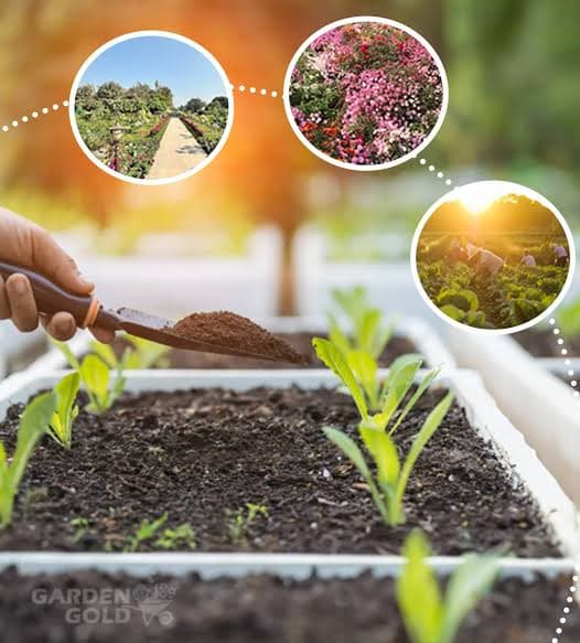 Mission Agriculture